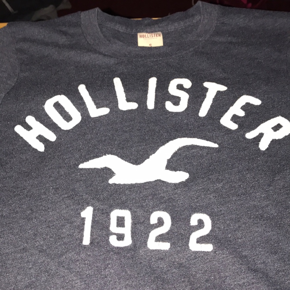 HOLLISTER T Shirt